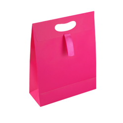 Medium Dark Pink Paper Gift Bag
